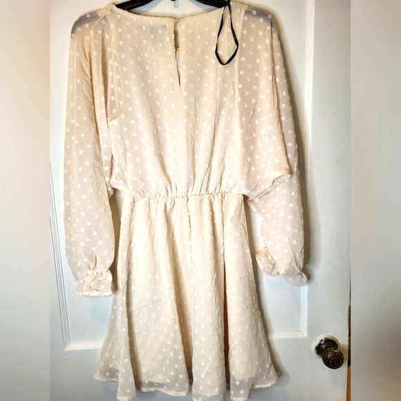 NWT Forever 21 Swiss Dot Cream/off white Small dress - Picture 11 of 11